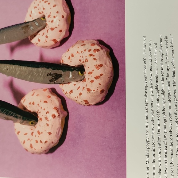 Feast for the Eyes Art Food Photography Book - Picture 9 of 15